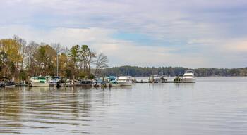 Dreher Island State Park at Lake Murray in South Carolina, USA