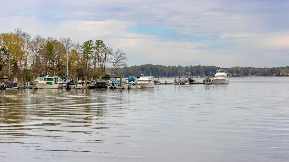 Dreher Island State Park at Lake Murray in South Carolina, USA
