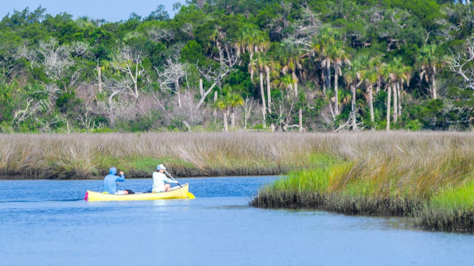 man and woman canoeing in salt marsh water habitat with blue water, palm trees in background and cord needle and saw grass along the edges of the waterway. Florida, United States - July 22, 2023