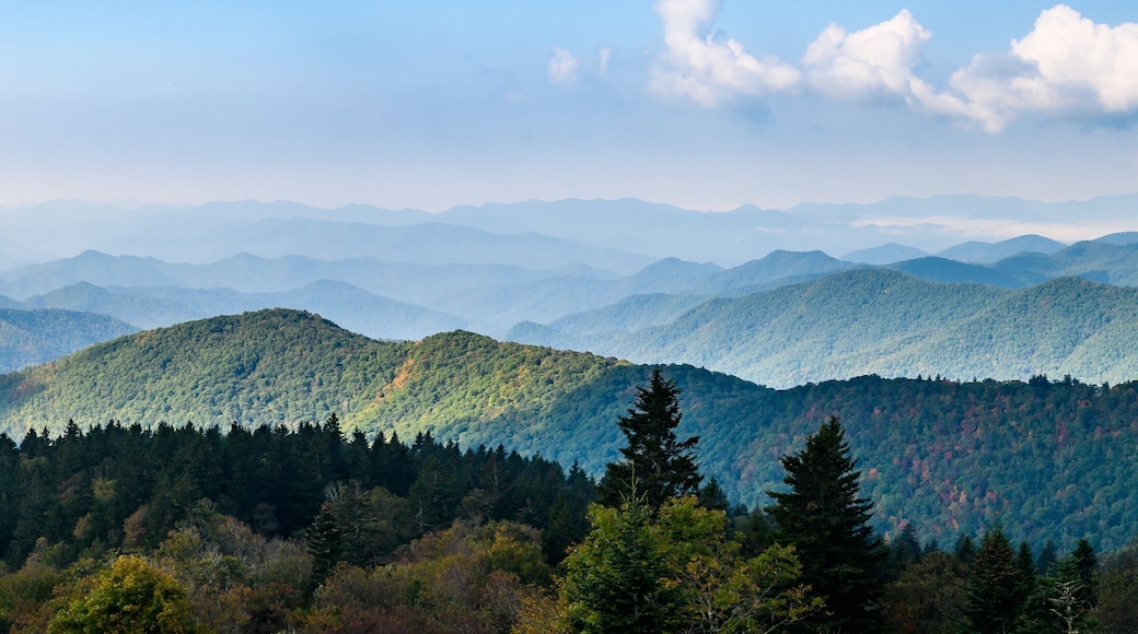 Autumn in the Appalachian Mountains Viewed Along the Blue Ridge Parkway