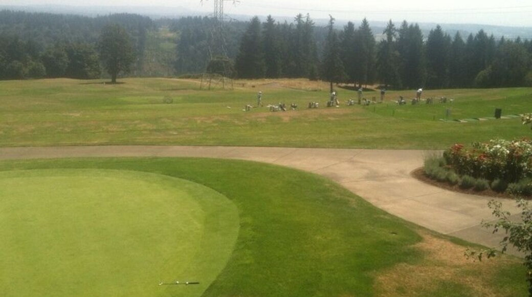 Where the elite golf.