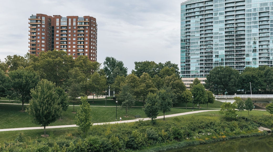 Un parque con árboles, un sendero y dos edificios modernos al fondo.