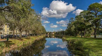 Beautiful view of the lake in the town of Celebration, Florida