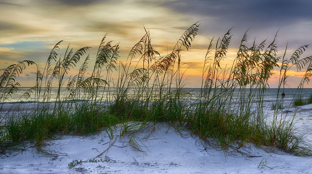 哈德逊海滩庄园