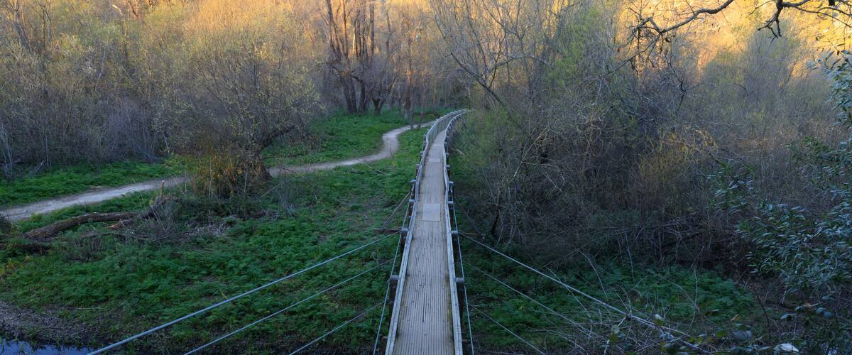 Pedestrian bridge crosses Lake Chabot in Alameda County, California, USA.