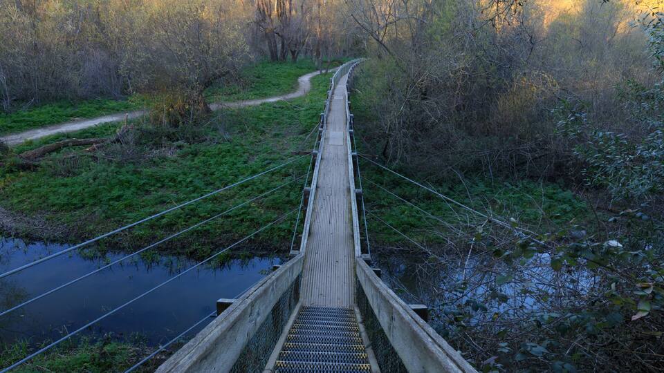 Pedestrian bridge crosses Lake Chabot in Alameda County, California, USA.