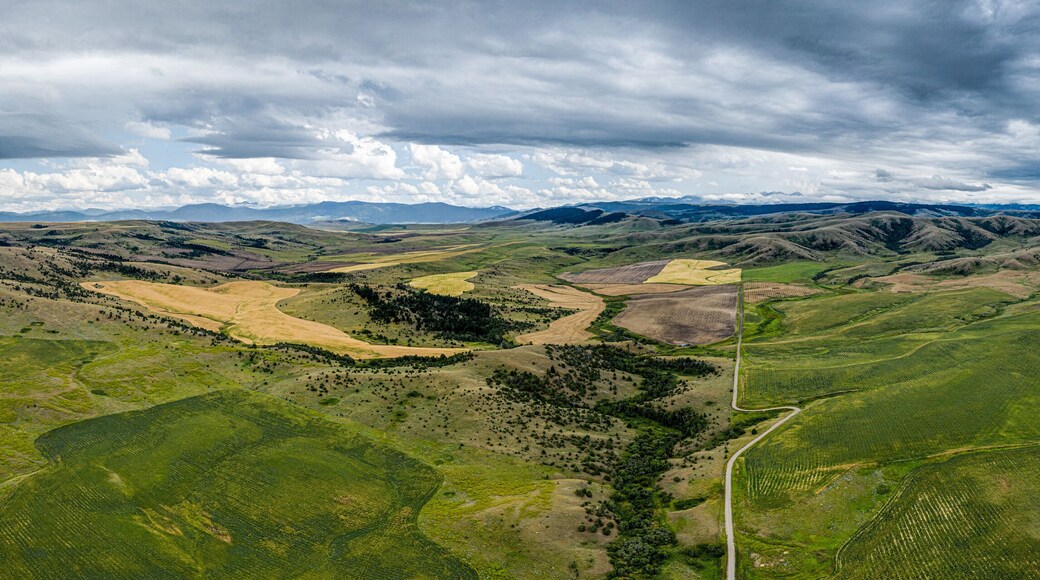 Ramshorn View Estates