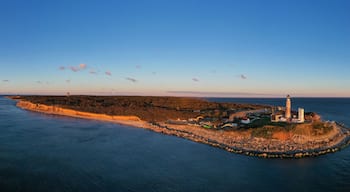 อมากันเซตต์ เลนส์