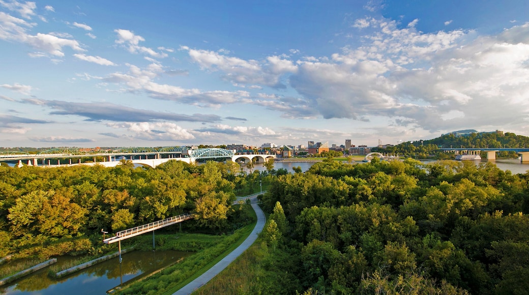 Chattanooga lookout mountain view