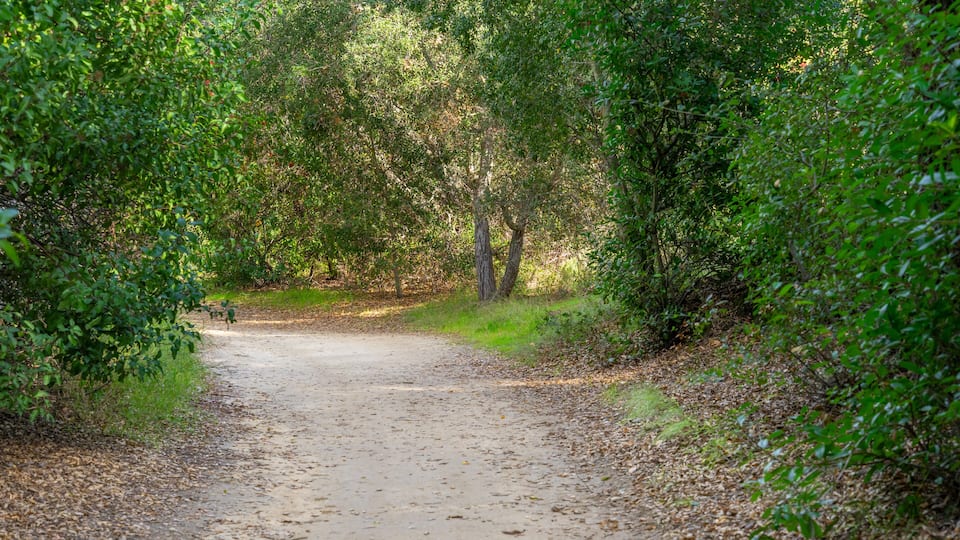 Hiking trail path with green trees in the Anaheim Hills of Orange County, California