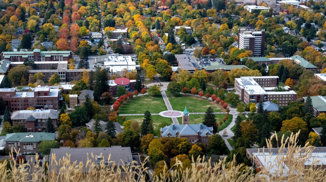 ๋ก์ฆ ํํฌ