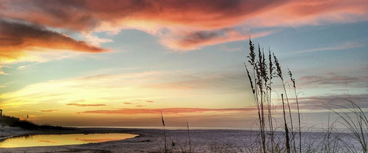 Sea oats reach toward brilliant clouds, reflected in Stallworth lake at sunrise
#beach photo contest
