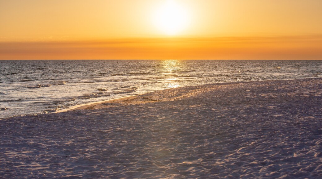 ๋์จ๋ ๋น์น