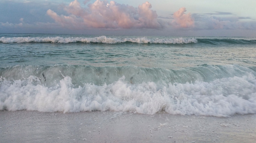 The Gulf at its best. All along the Florida Panhandle, you can be greeted by sugar white sand beaches, blue sea, and pink clouds at dawn.
#BeachTips