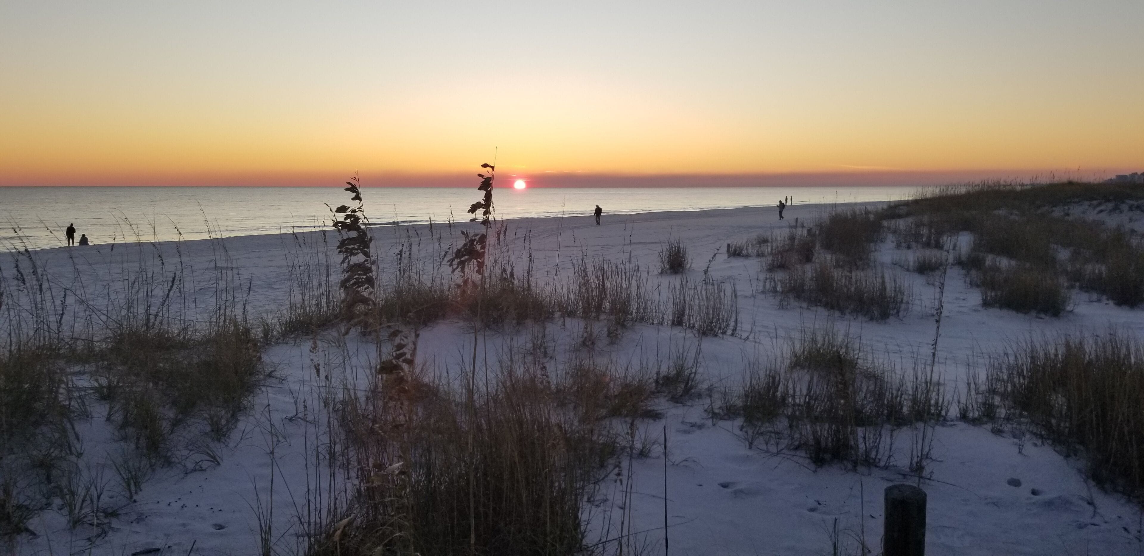 Our first view of the Gulf. Deer & bear can be found in the dunes area. Beautiful water & white sandy beach! #Trovember