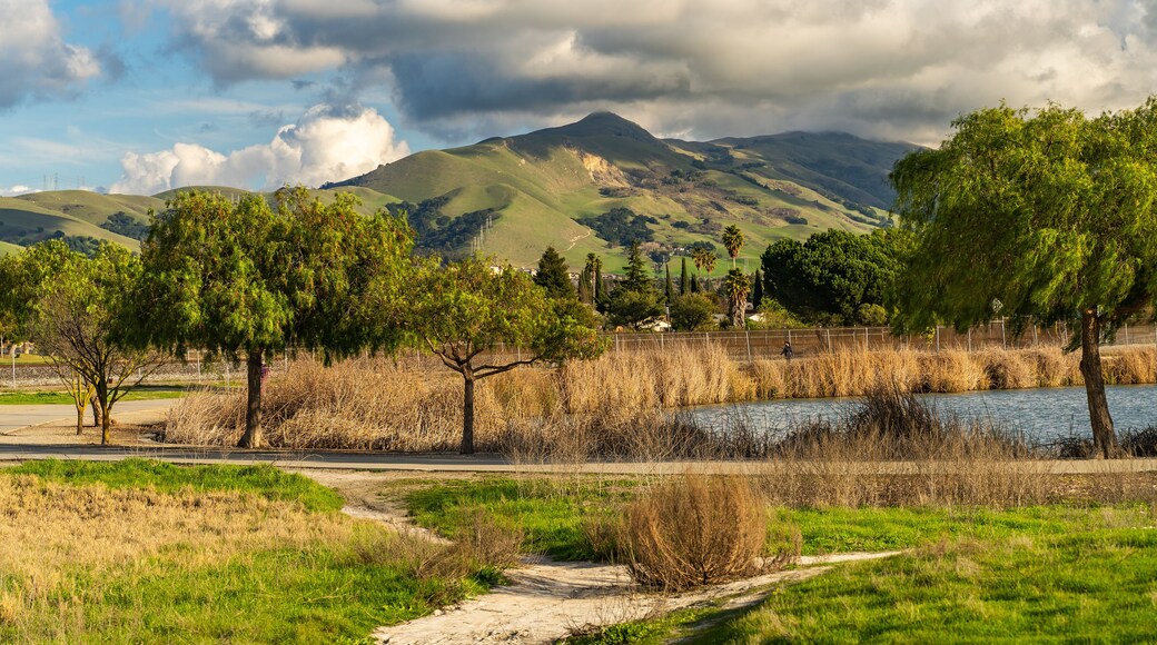 Central Park in Fremont, California
