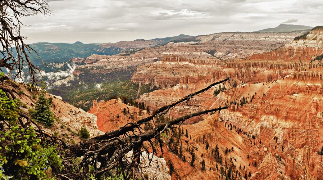 Cedar Breaks National Monument Panorama, Utah
