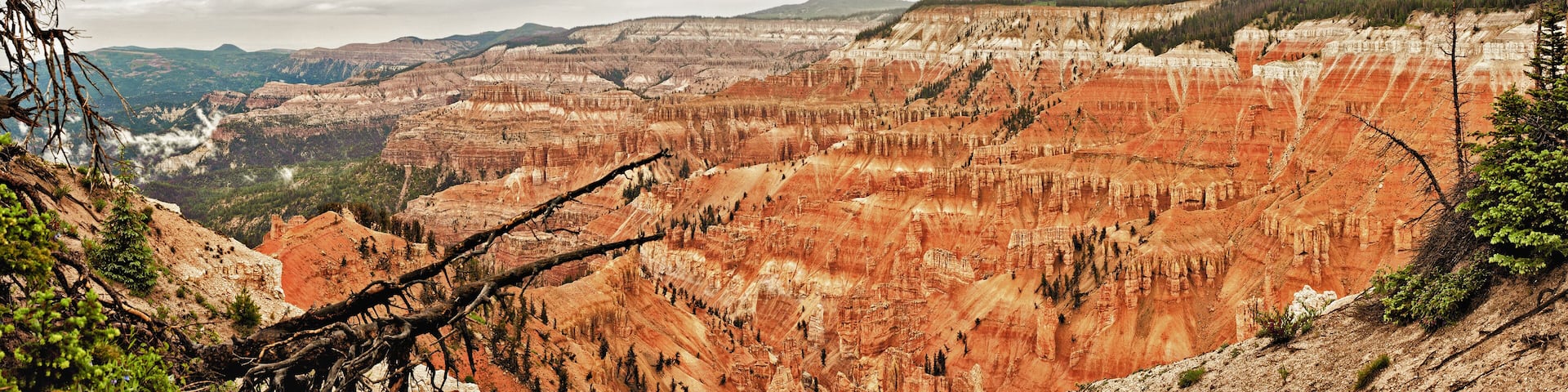 Cedar Breaks National Monument Panorama, Utah