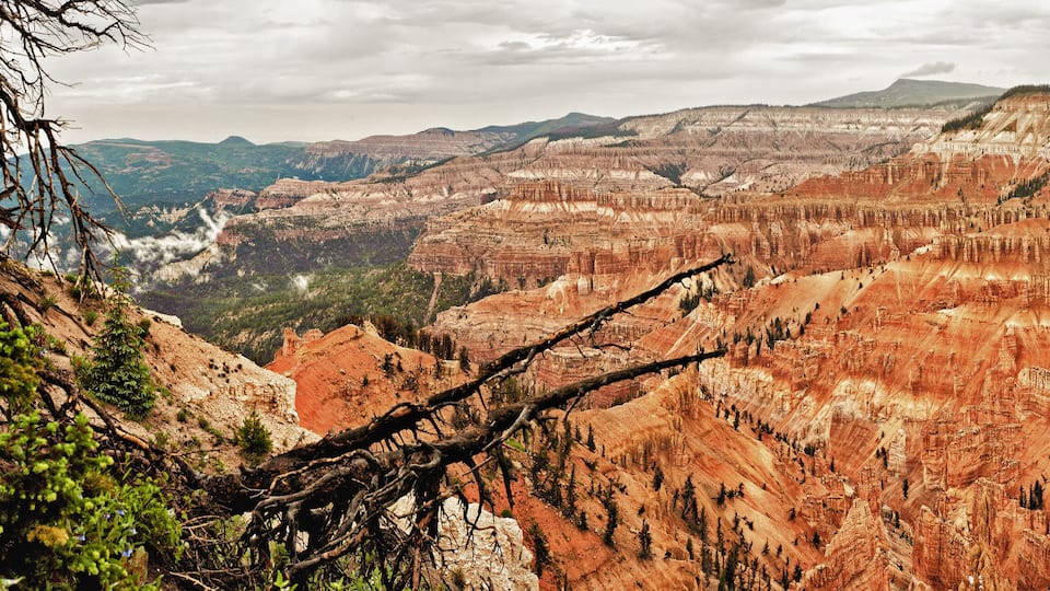 A vast canyon with layered rock formations and sparse vegetation.