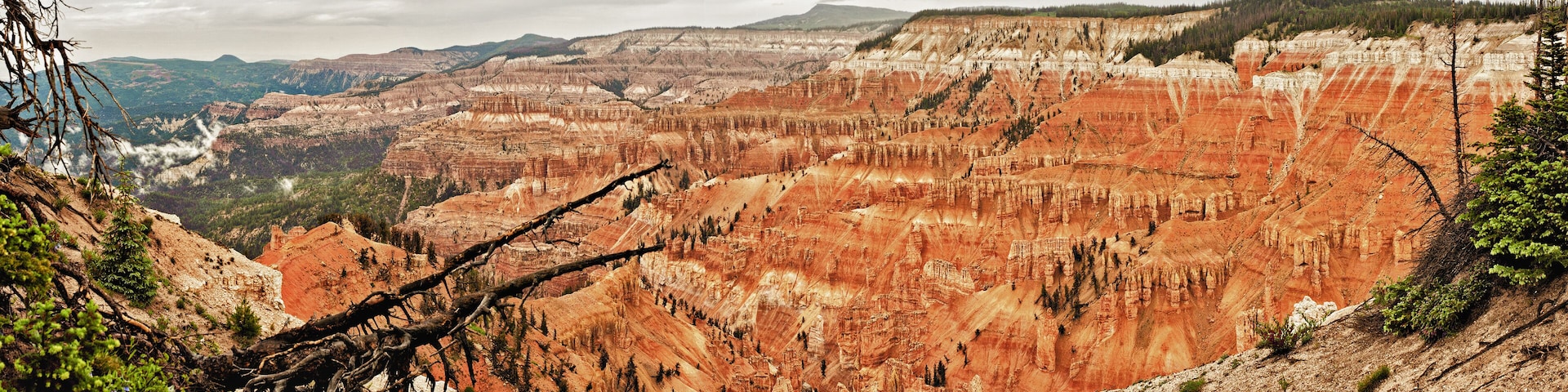 Cedar Breaks National Monument Panorama, Utah