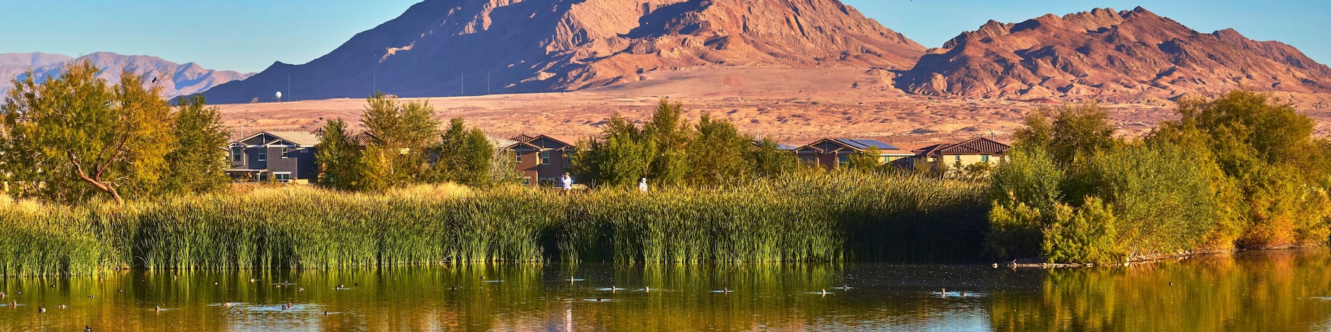 A mountain range, a lake with ducks, and houses in the foreground.