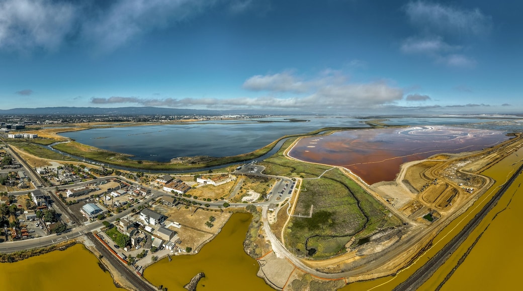 Aerial panorama view of Alviso district in San Jose California with rundown buildings colorful orange, yellow salt marshes in the Bay Area