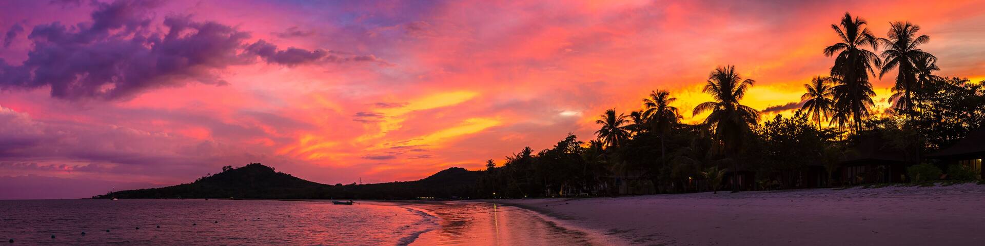 Silhouette palm at sunset