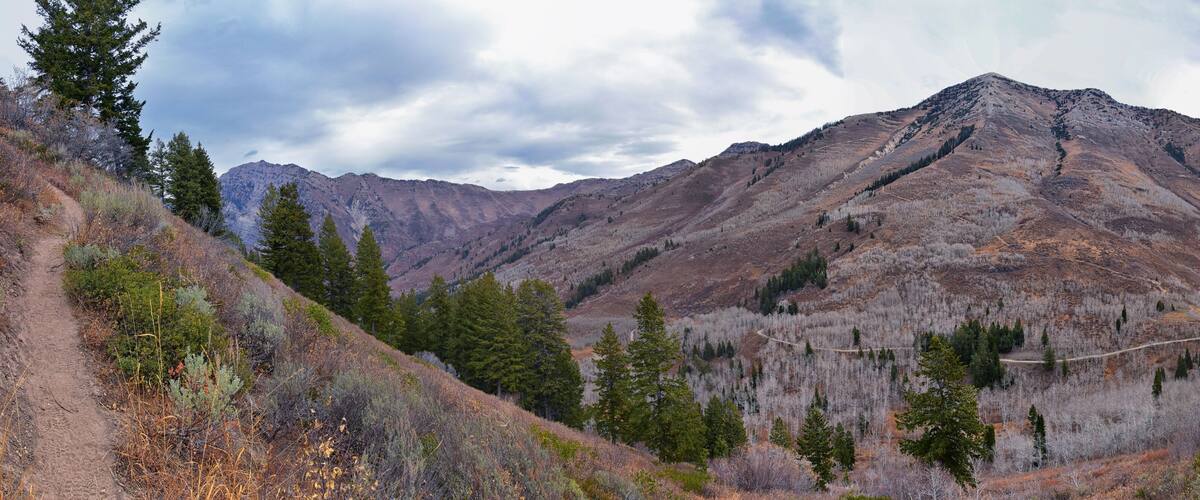 Provo Peak mountain views looking up to the top from Rock Canyon by Slide Canyon, Slate Canyon, Wasatch Front Rocky Mountain Range, Utah. United States.