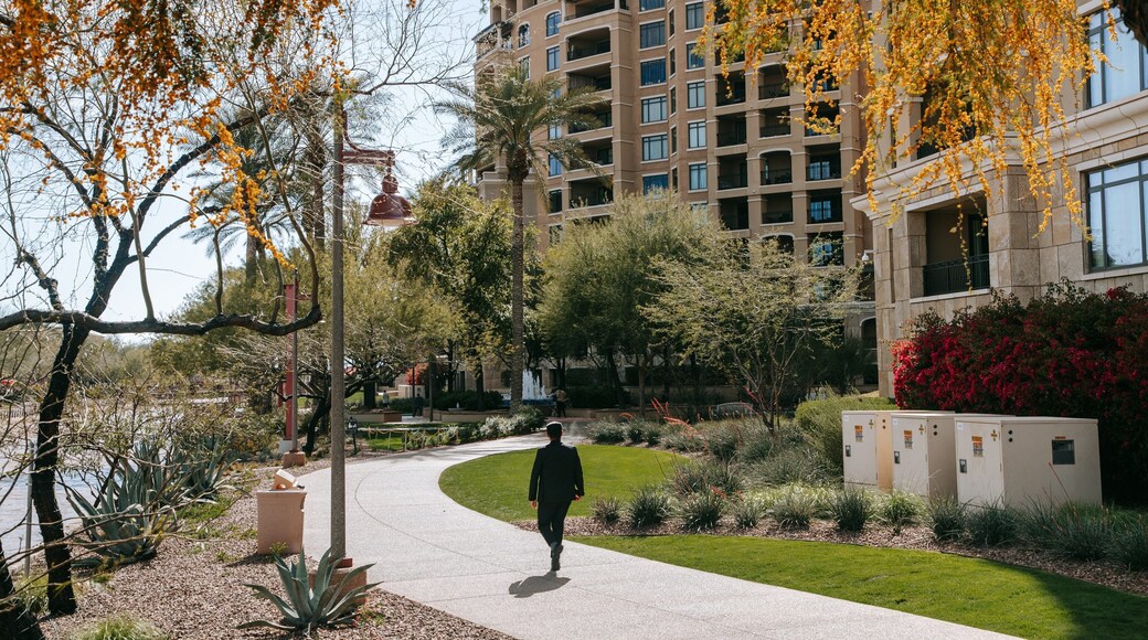 Downtown Scottsdale featuring a garden as well as an individual male