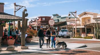 Downtown Scottsdale featuring street scenes, a small town or village and cuddly or friendly animals