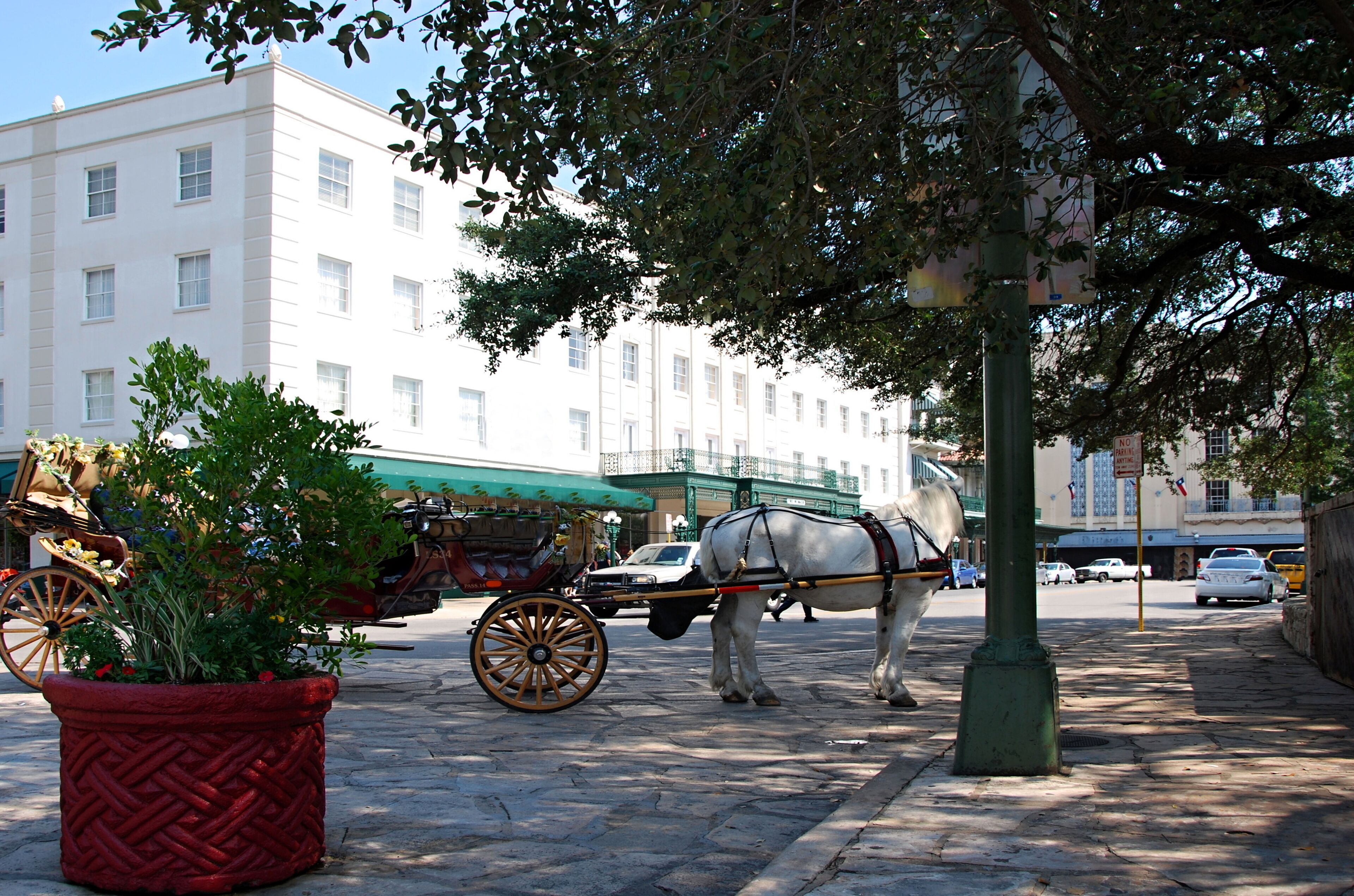 Carriage in Downtown San Antonio, Texas