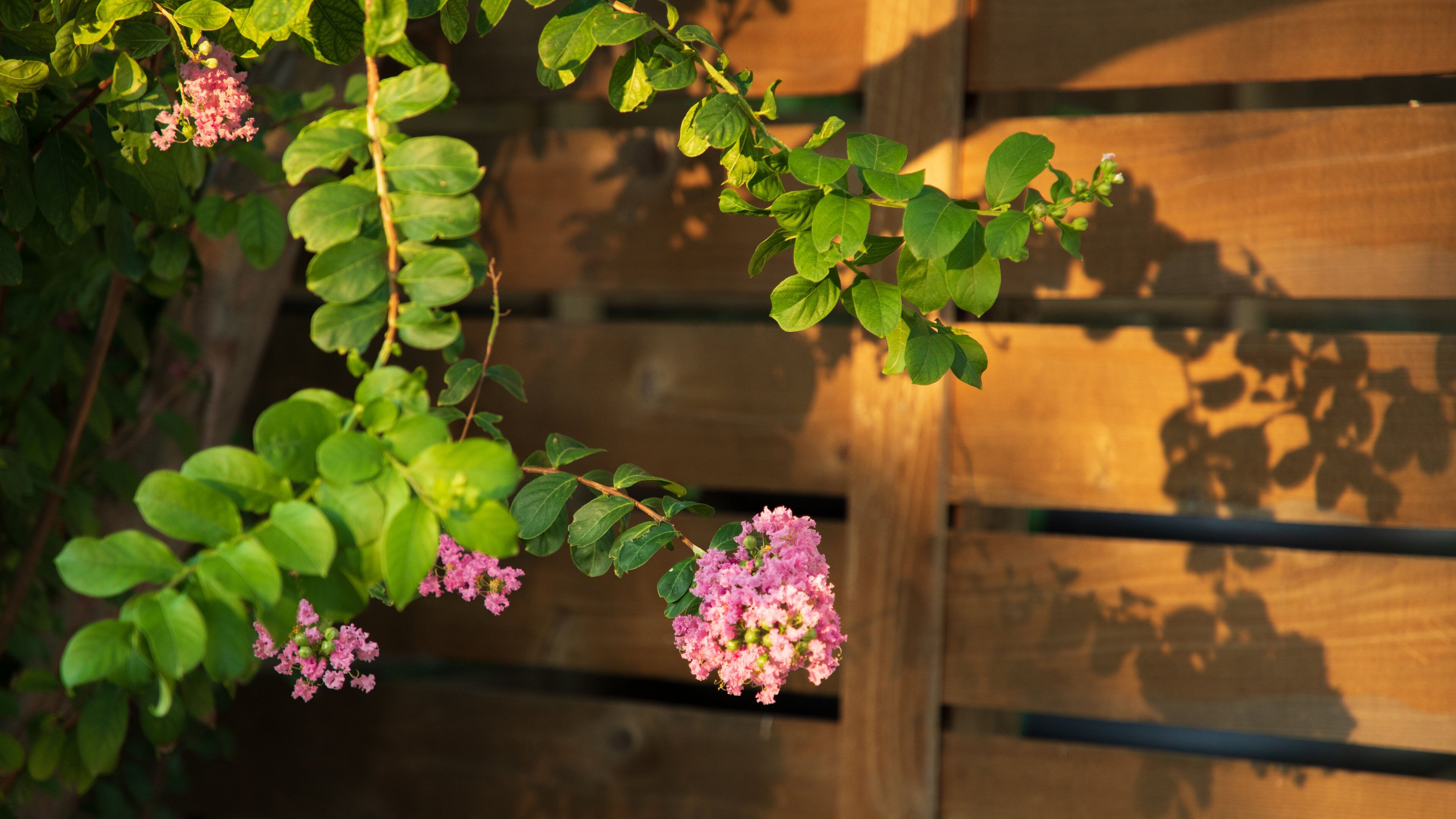 Crestview which includes wildflowers