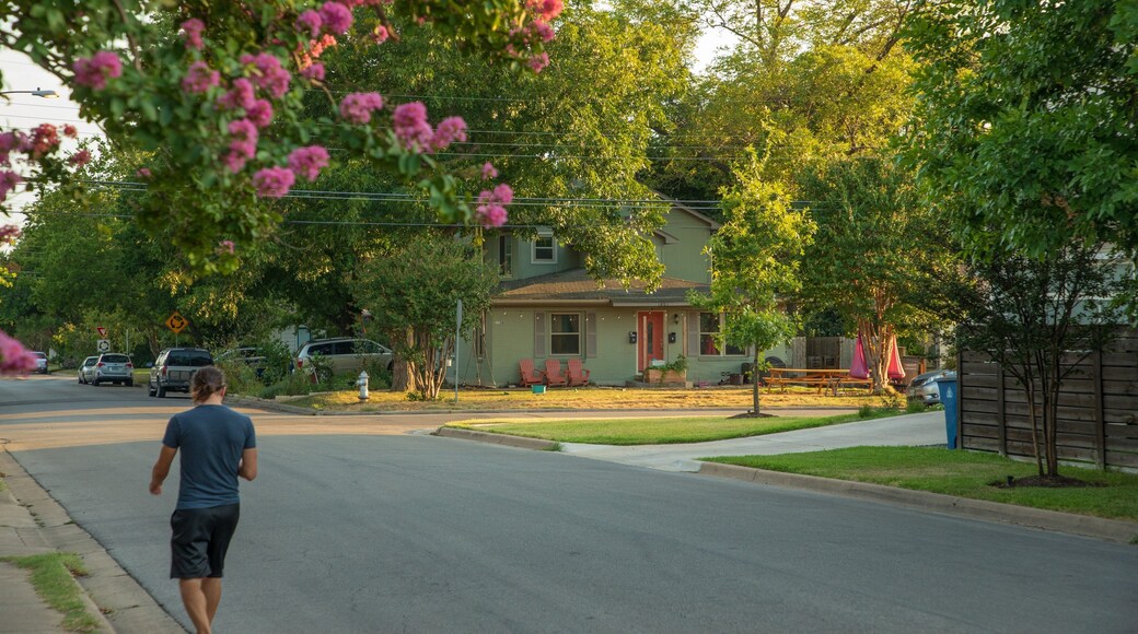 Crestview featuring street scenes, a house and a small town or village