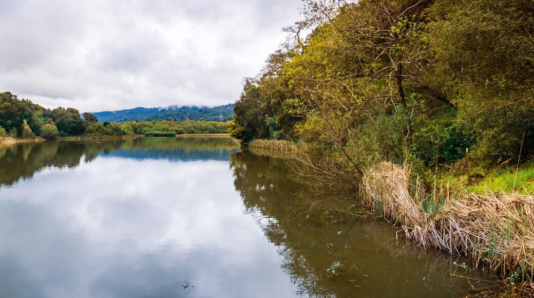 Searsville Lake located in Jasper Ridge Biological Preserve on a cloudy day, San Francisco bay area, California