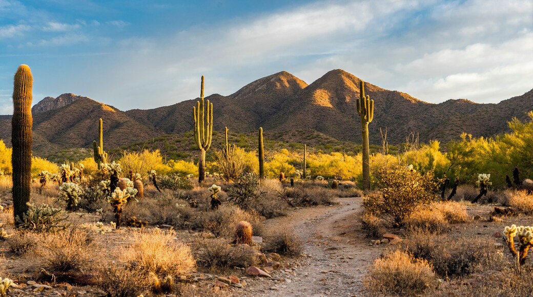 Scottsdale Highlands