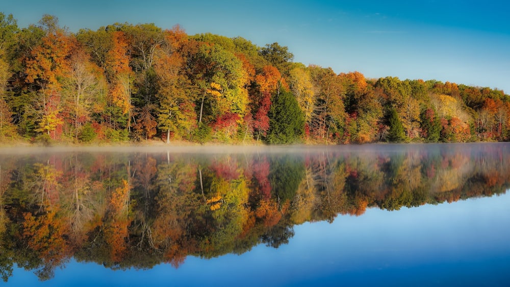 Rose Lake on foggy morning. Mist over water with colorful trees in hocking hills ohio on clear fall morning. Autumn tones of red, yellow, and orange in trees on waters edge. Reflection visible.