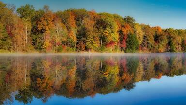 Rose Lake on foggy morning. Mist over water with colorful trees in hocking hills ohio on clear fall morning. Autumn tones of red, yellow, and orange in trees on waters edge. Reflection visible.
