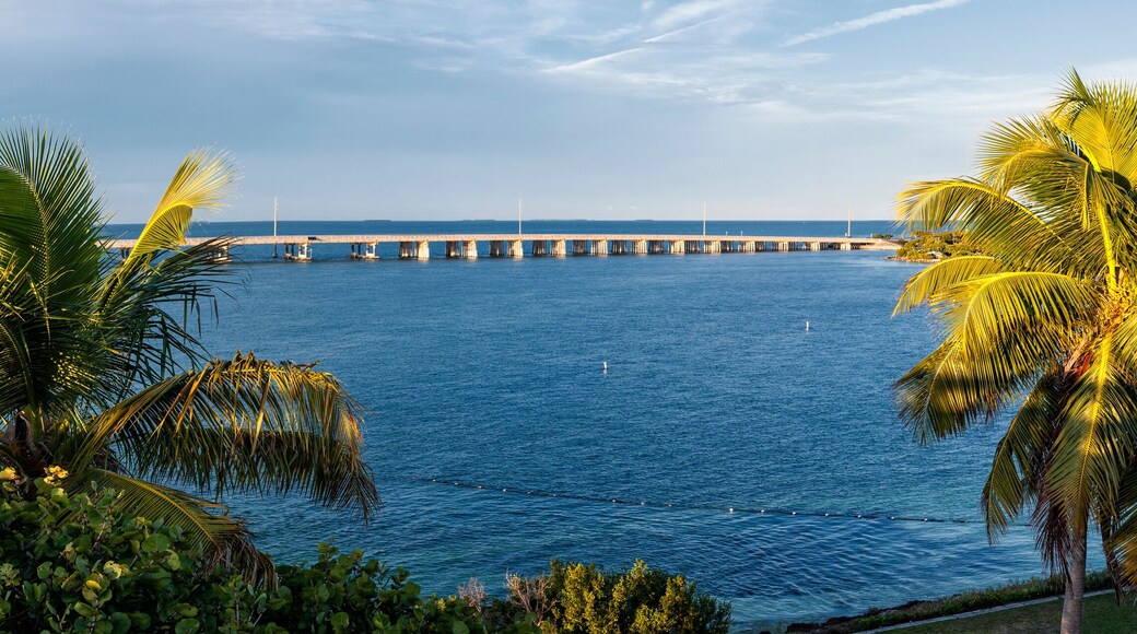 ์ด๋ ํ์ธ์ค