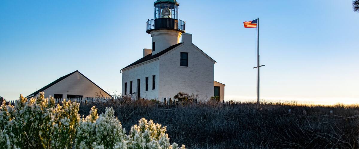 Blooming Sagebrush at the Point Loma Lighthouse