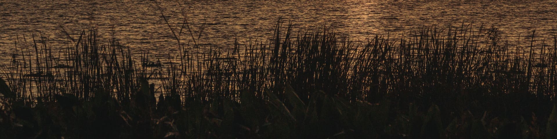 Orange sunset over distant hills on Lake Apopka near Orlando, Florida.