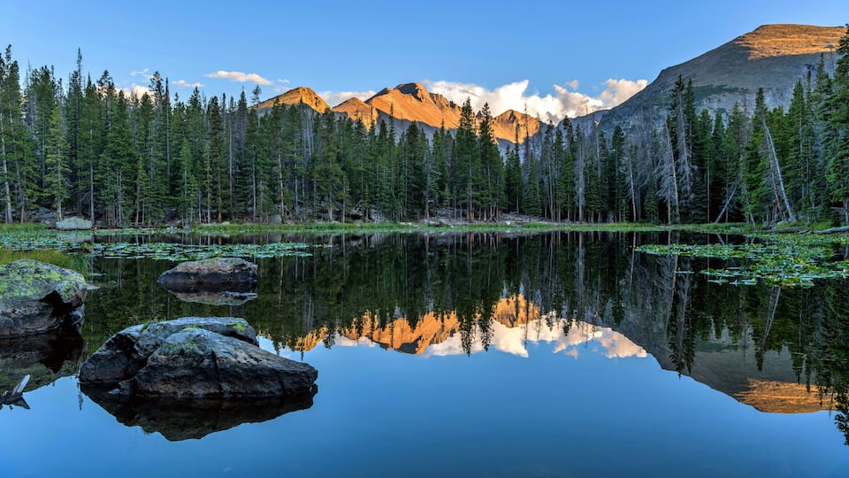 Longs Peak at Nymph Lake - Panoramic view of majestic Longs Peak, with golden sunset light shining on its top, reflected in blue Nymph Lake on a summer evening, Rocky Mountain National Park, CO, USA.