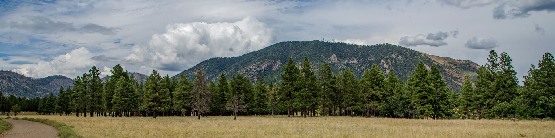 View of Mt. Humphrey from the trail in the Buffalo Park, Flagstaff, Arizona