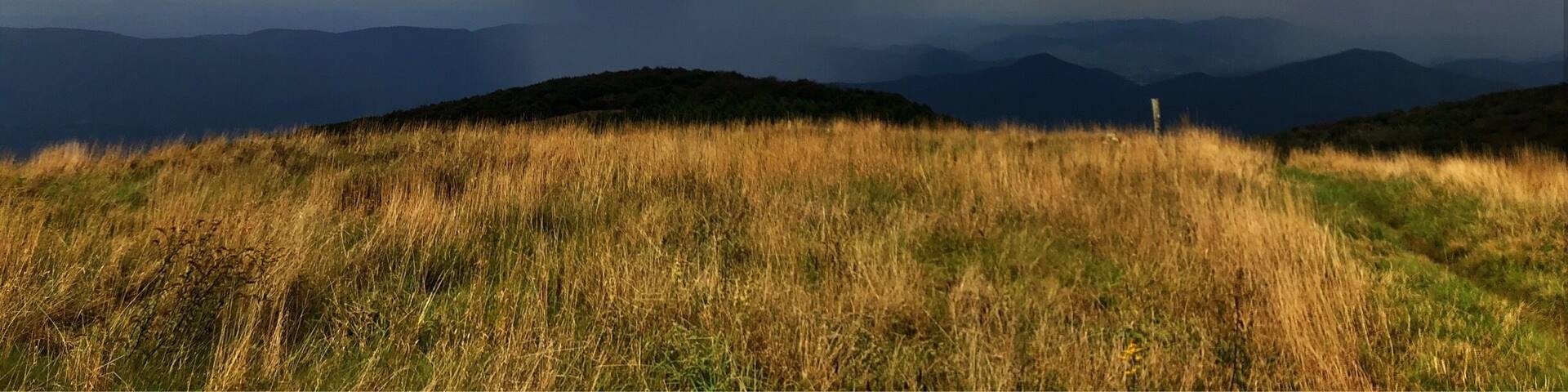 Rainy day in the Appalachian Mountains.