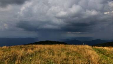 Rainy day in the Appalachian Mountains.