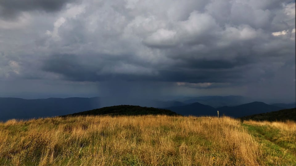 Rainy day in the Appalachian Mountains.