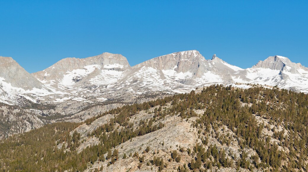 Kaweah Peaks Ridge Panorama