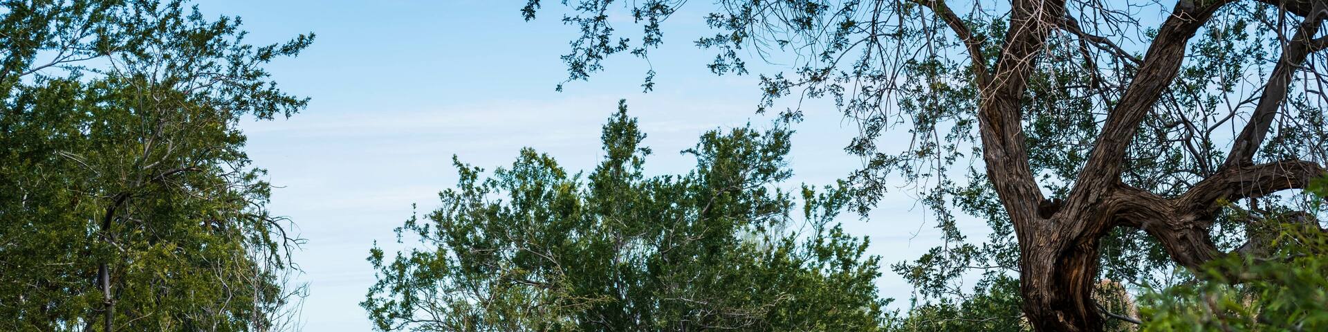 Hiking Trail at White Tank Mountain Regional Park in Arizona