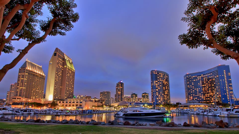 A marina with boats and a city skyline at dusk.
