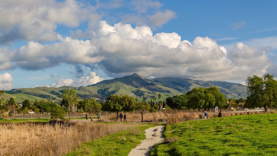 Central Park in Fremont, California