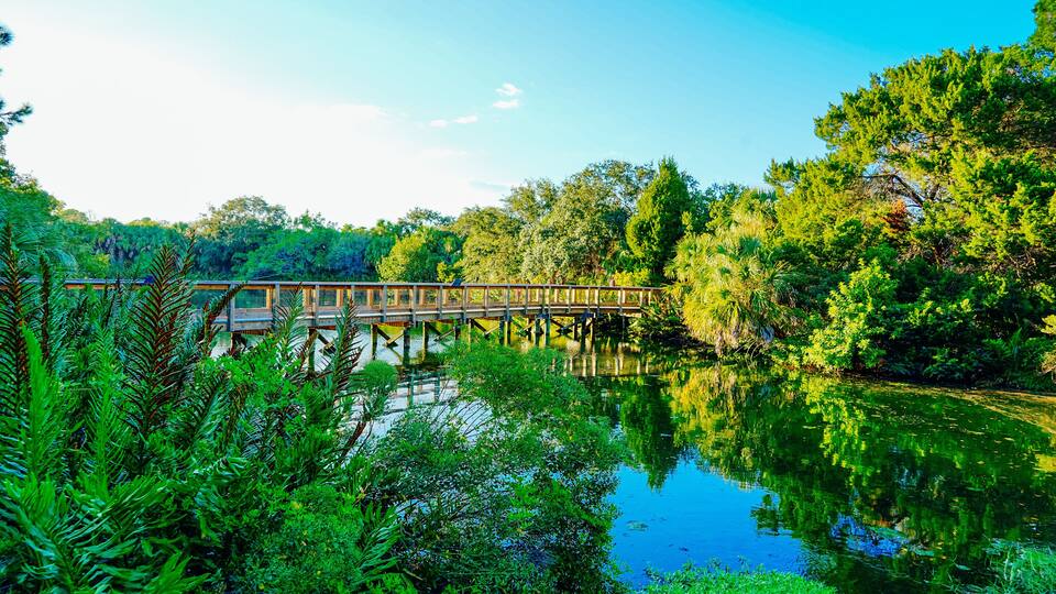 Wall Springs Park and Pinellas Trail in Palm Harbor, Tarpon Springs and Gulf of Mexico